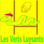 VERTS LUYSANTS